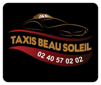 TAXIS BEAU SOLEIL - logo